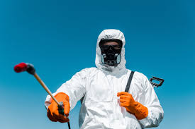 Best Outdoor Pest Control  in Clarkesville, GA